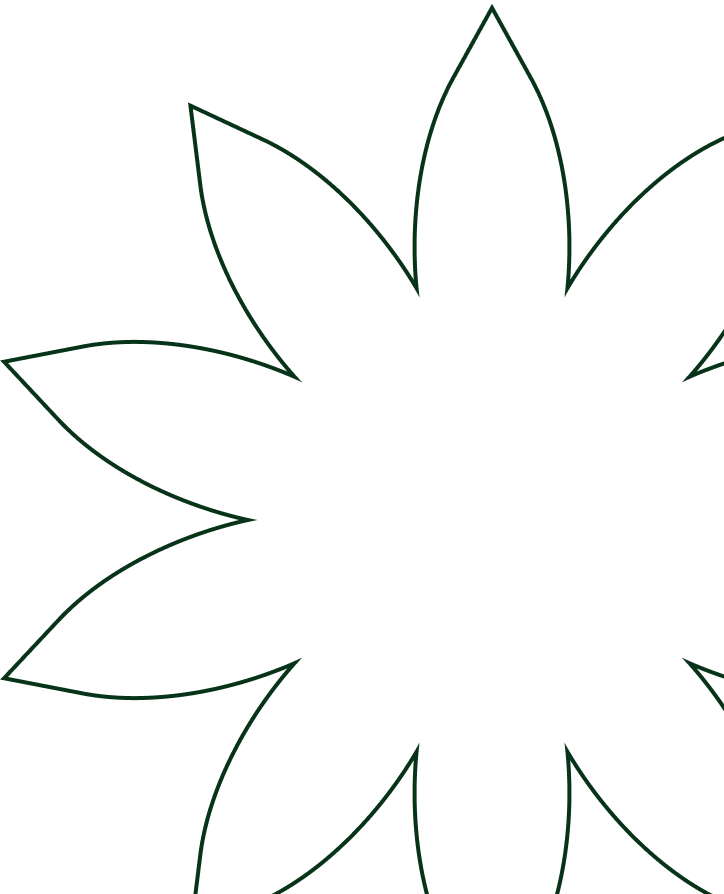 Bottom Star