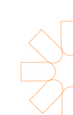 vector